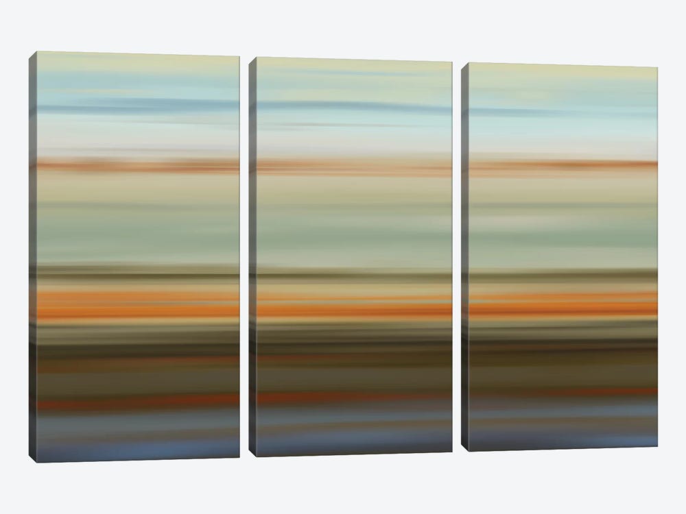Euphoric II by James McMasters 3-piece Canvas Art