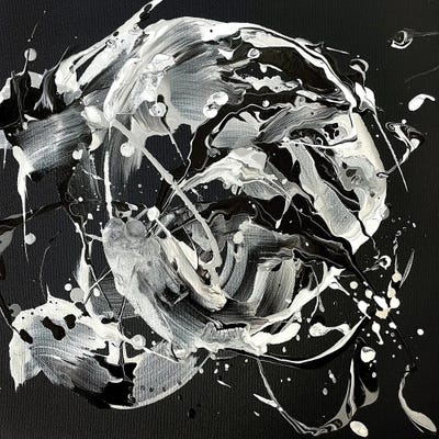 It's Not Always Black And White (5150 Shades Of Grey) IV by Michael Carini canvas print