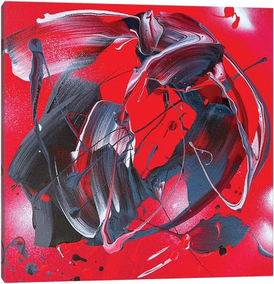 Red Dawn Canvas Art Print - Michael Carini