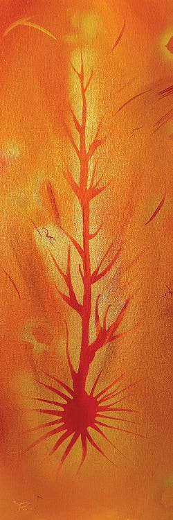 Roots Of Light And Shadows by Michael Carini wall art