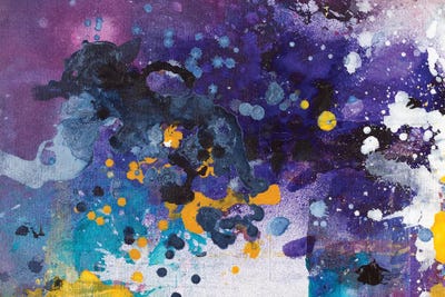 Beautiful Accidents VII by Michael Carini canvas print