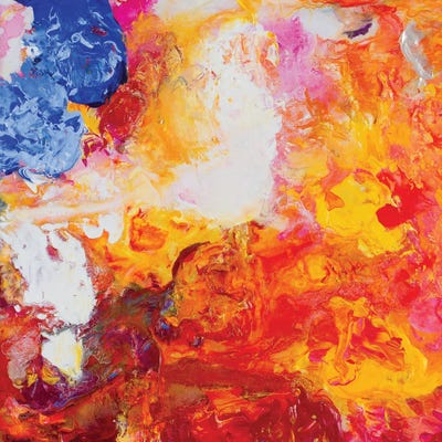 Beautiful Accidents XV by Michael Carini canvas print