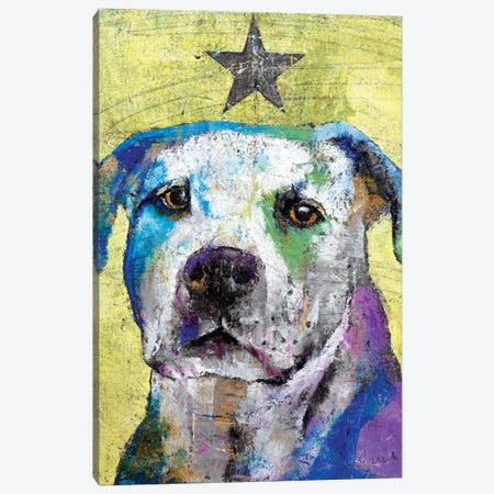 Pit Bull Terrier Canvas Print #MCR101} by Michael Creese Canvas Artwork