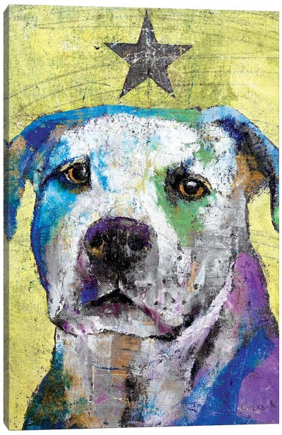 Pit Bull Terrier Canvas Art Print - Michael Creese