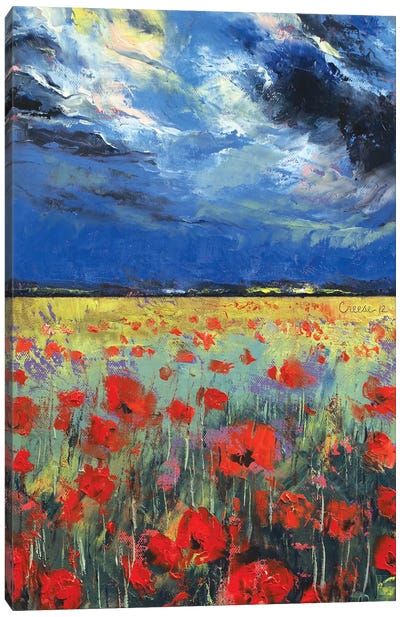 Poppies In Moonlight Canvas Art Print - Color Fields