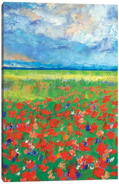 Poppy Field Canvas Art Print - Color Fields