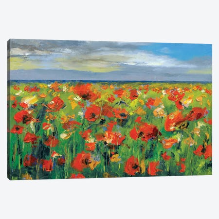 Poppy Field With Storm Clouds Canvas Print #MCR106} by Michael Creese Canvas Print