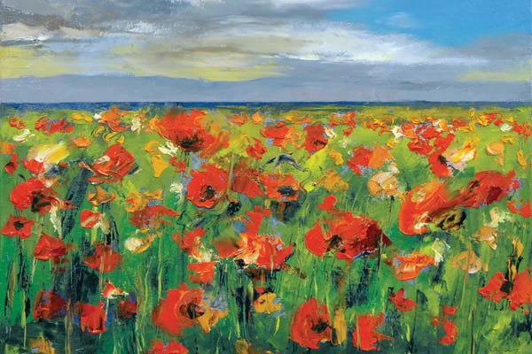 Poppy Field With Storm Clouds