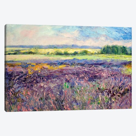Provence Lavender Canvas Print #MCR108} by Michael Creese Canvas Art