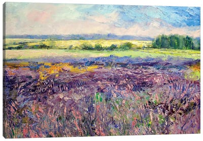 Provence Lavender Canvas Art Print - Ultra Earthy