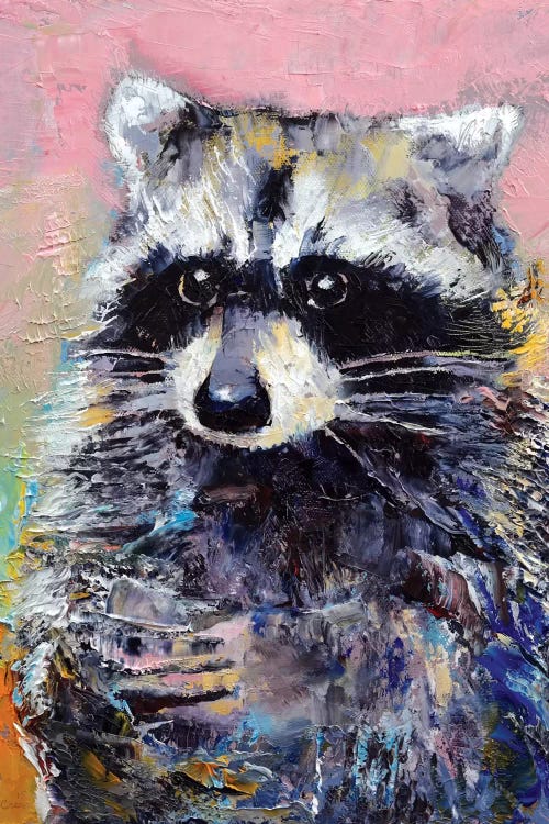 Raccoon