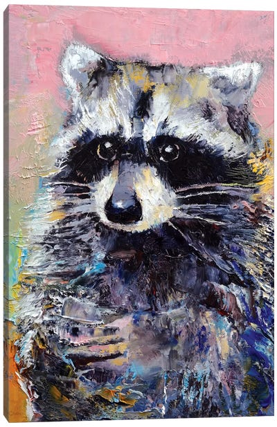 Raccoon Canvas Art Print - Michael Creese