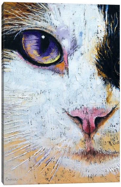Ragdoll Cat Canvas Art Print