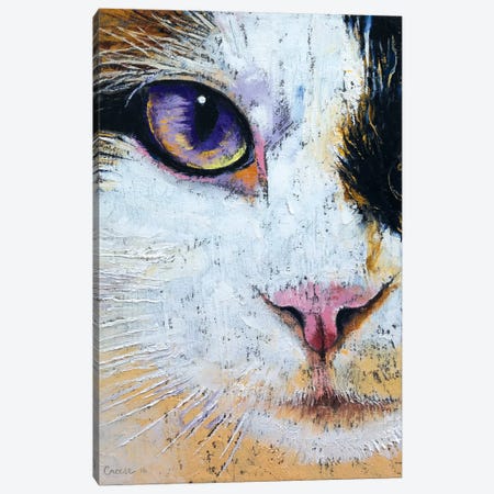 Ragdoll Cat Canvas Print #MCR111} by Michael Creese Art Print