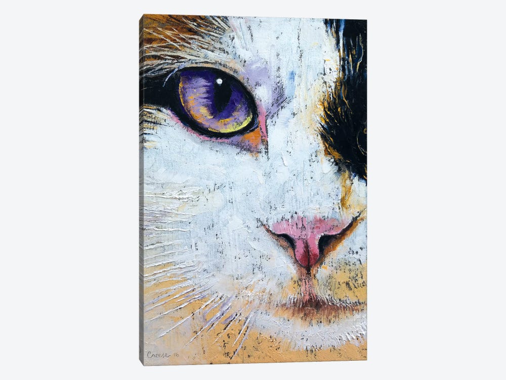 Ragdoll Cat by Michael Creese 1-piece Canvas Artwork