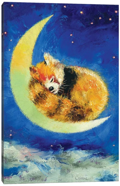 Red Panda Dreams Canvas Art Print - Red Panda Art