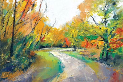 Autumn Woodland Path by Michael Creese framed wall art