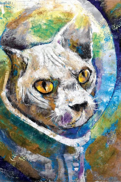 Hairless Cats: Space Cat by Michael Creese