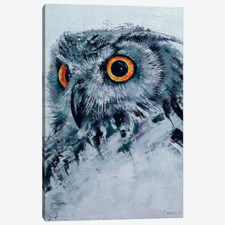 Spirit Owl Canvas Print #MCR131} by Michael Creese Art Print