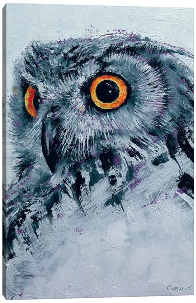 Spirit Owl Canvas Art Print - Michael Creese