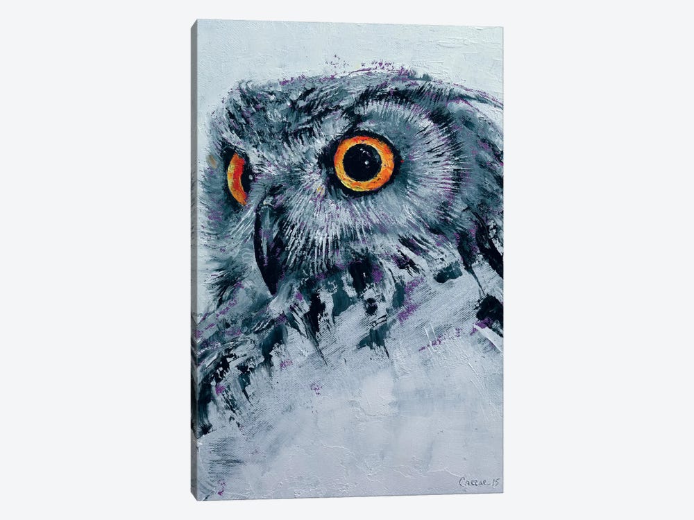Spirit Owl by Michael Creese 1-piece Canvas Wall Art