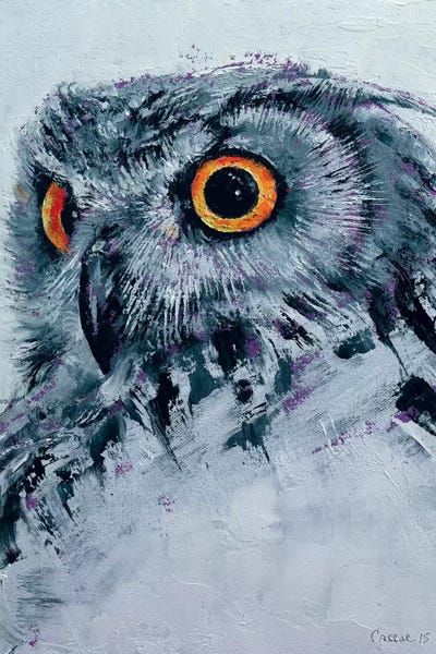 Spirit Owl
