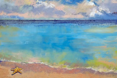 Starfish by Michael Creese framed wall art