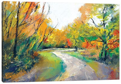 Autumn Woodland Path Canvas Art Print - Michael Creese