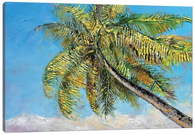 Windy Palm Canvas Art Print - Tree Close-Up Art