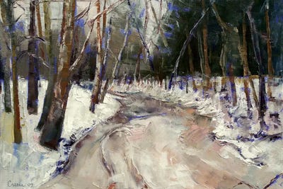Winter Creek by Michael Creese canvas print