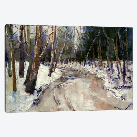 Winter Creek Canvas Print #MCR150} by Michael Creese Canvas Art Print
