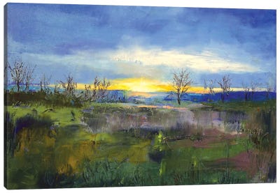 Winter Solstice Canvas Art Print - Marsh & Swamp Art