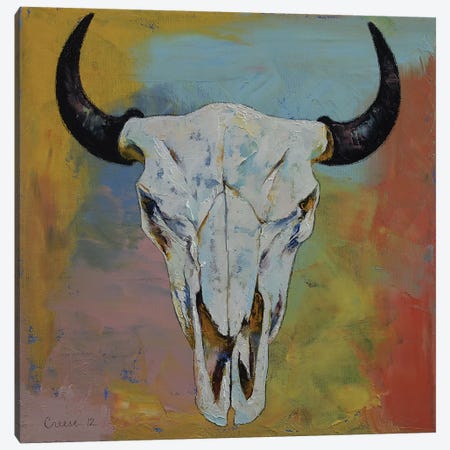 Bison Skull Canvas Print #MCR157} by Michael Creese Canvas Art