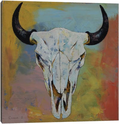 Bison Skull Canvas Art Print - Michael Creese