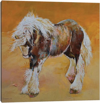 Gypsy Pony Canvas Art Print - Michael Creese