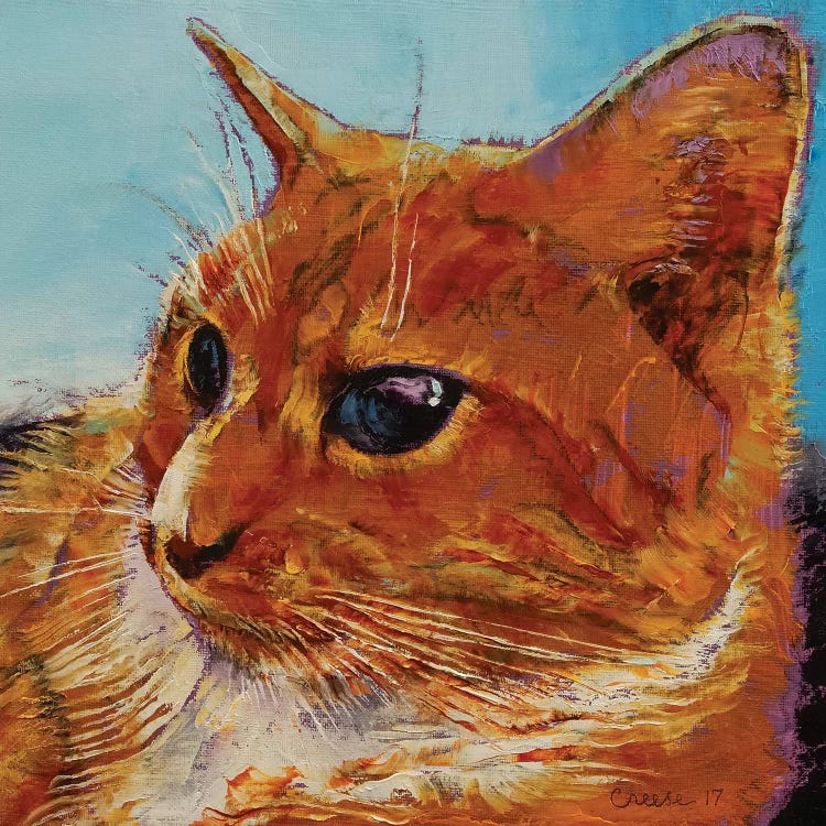 Orange Tabby Cat