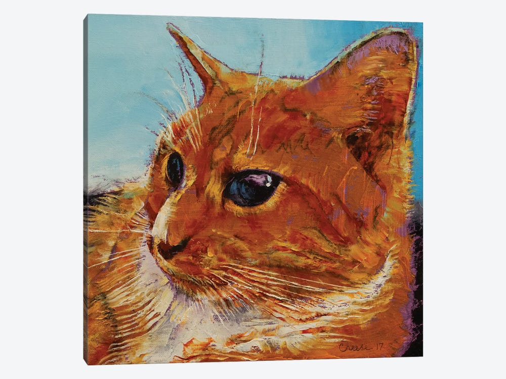 Orange Tabby Cat by Michael Creese 1-piece Canvas Print
