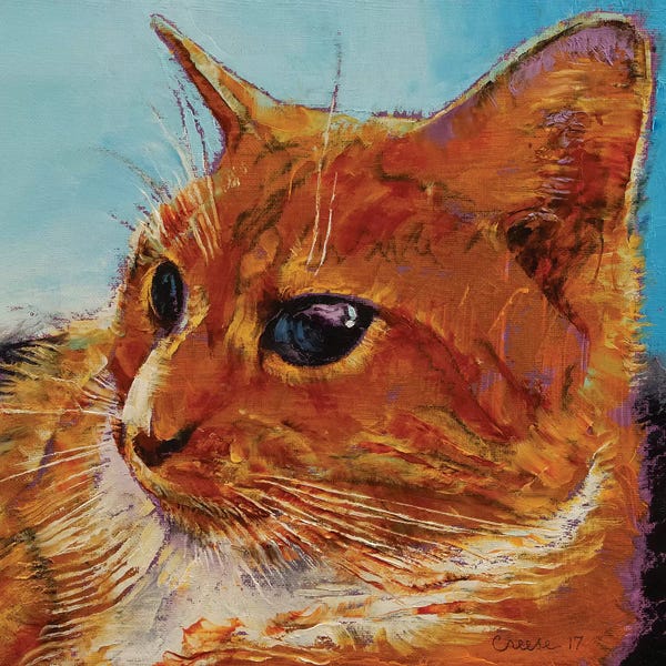 Orange Cats: Orange Tabby Cat by Michael Creese