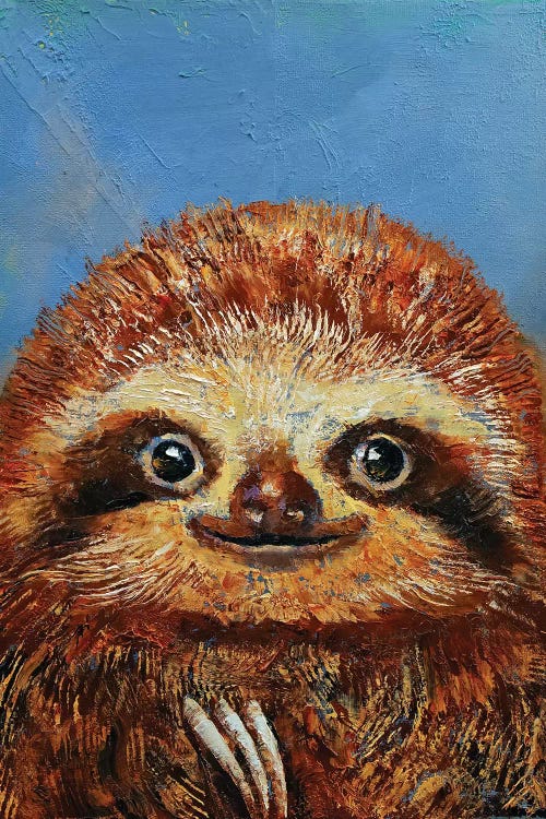 Baby Sloth  by Michael Creese wall art