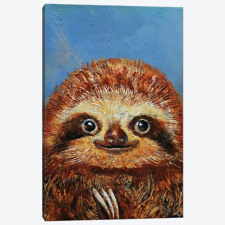 Baby Sloth  Canvas Print #MCR166} by Michael Creese Art Print