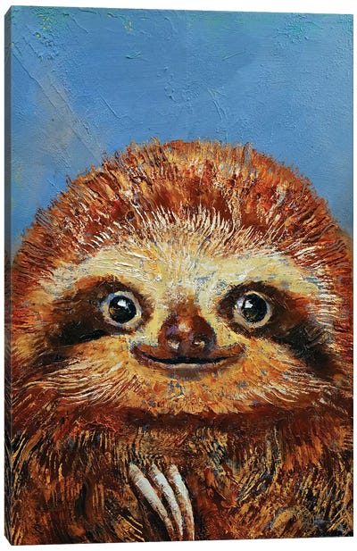 Baby Sloth  Canvas Art Print - Michael Creese