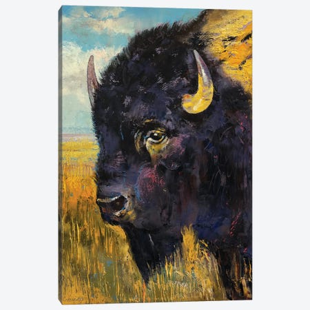Bison  Canvas Print #MCR167} by Michael Creese Canvas Print