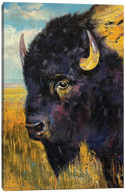 Bison  Canvas Art Print - Bison & Buffalo Art