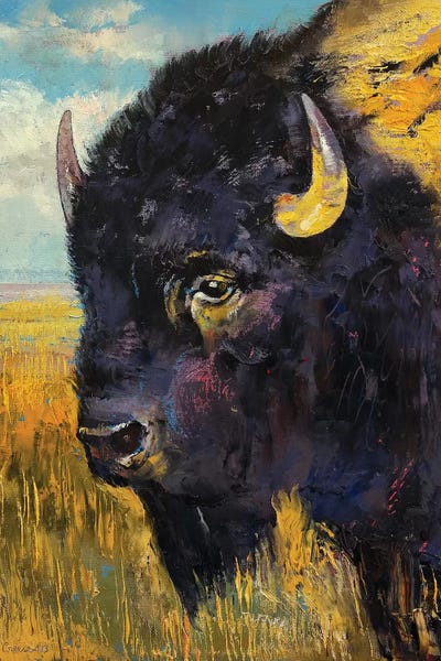 Bison & Buffaloes: Bison  by Michael Creese