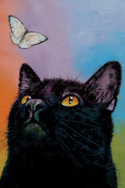 Black Cats: Black Cat Butterfly  by Michael Creese