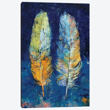 Feathers  Canvas Print #MCR177} by Michael Creese Canvas Wall Art