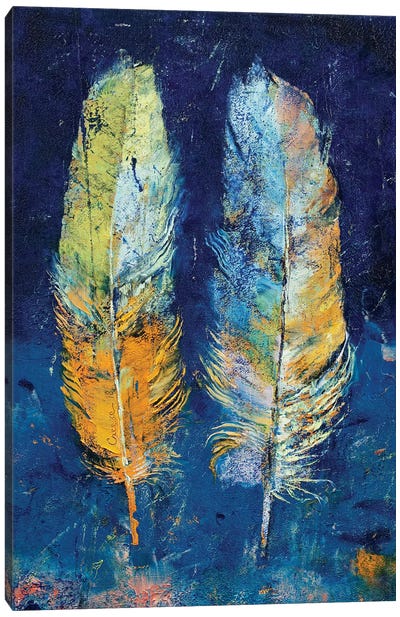Feathers  Canvas Art Print - Michael Creese