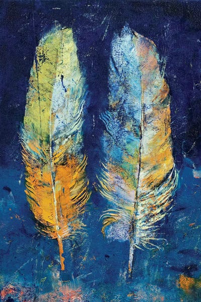 Feathers: Feathers  by Michael Creese