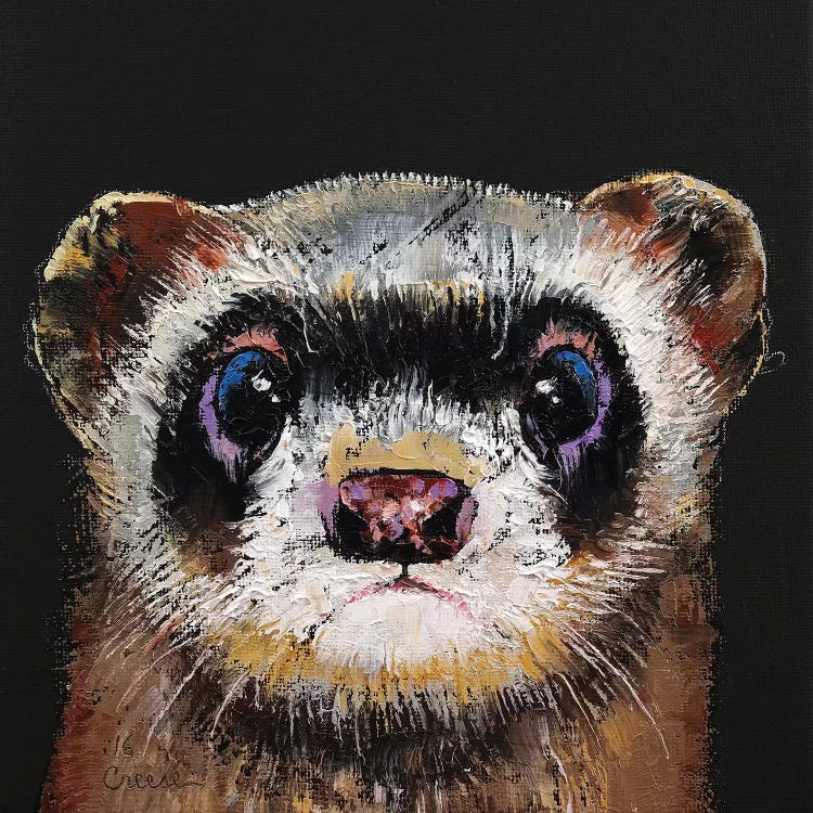 Ferret  by Michael Creese wall art