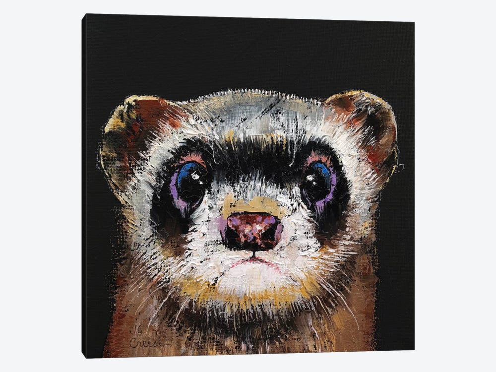 Ferret  by Michael Creese 1-piece Canvas Print